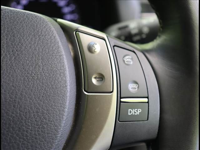 LEXUS GS250