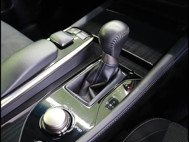 LEXUS GS250
