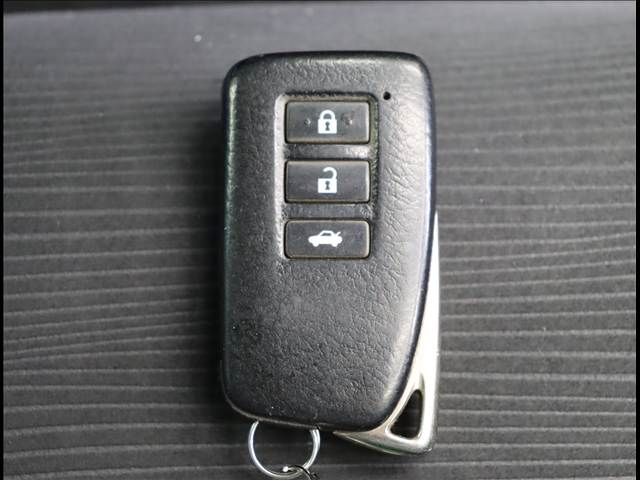 LEXUS GS250