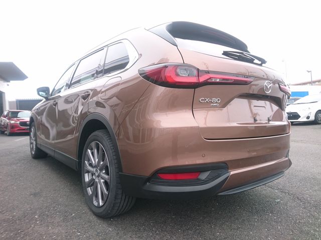 CX-80