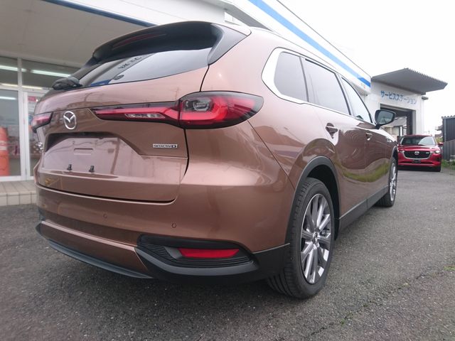 CX-80