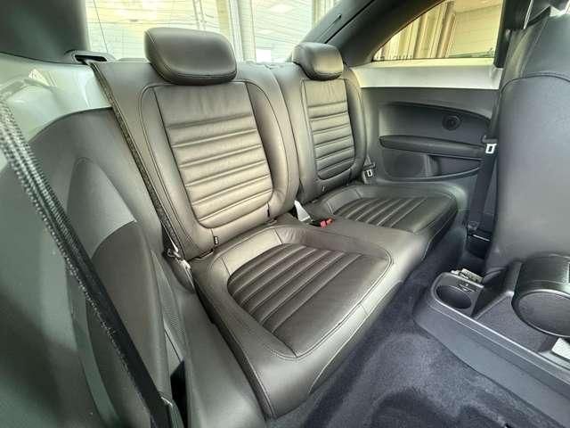 VOLKSWAGEN The BEETLE