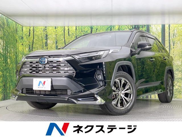 RAV4 HYBRID 4WD