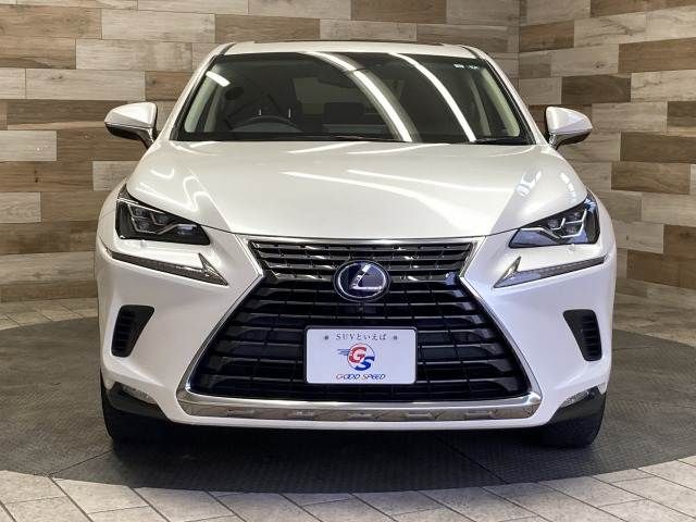LEXUS NX300h