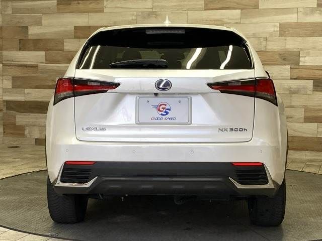 LEXUS NX300h