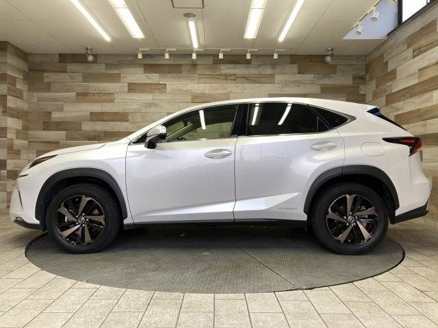 LEXUS NX300h