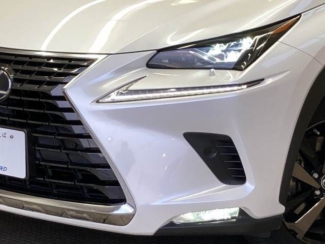 LEXUS NX300h