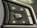 LEVORG LAYBACK
