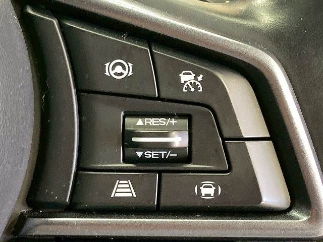 LEVORG LAYBACK