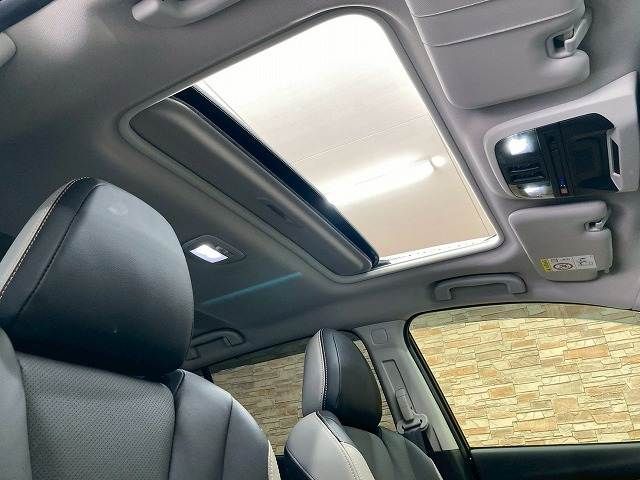 LEVORG LAYBACK