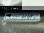 REGIUSACE 2WD van