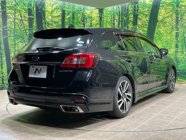 LEVORG