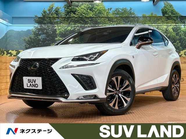 LEXUS NX300