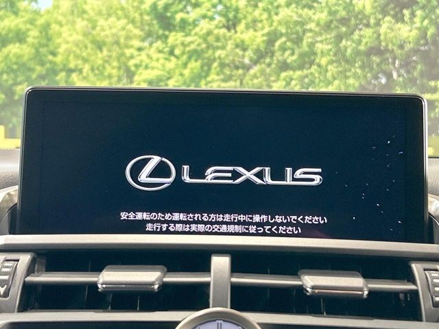 LEXUS NX300
