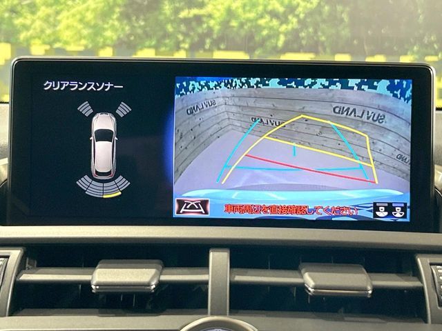 LEXUS NX300