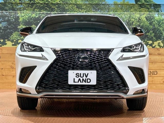LEXUS NX300