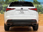 LEXUS NX300