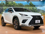 LEXUS NX300