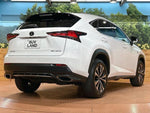 LEXUS NX300