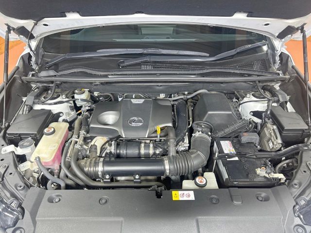 LEXUS NX300