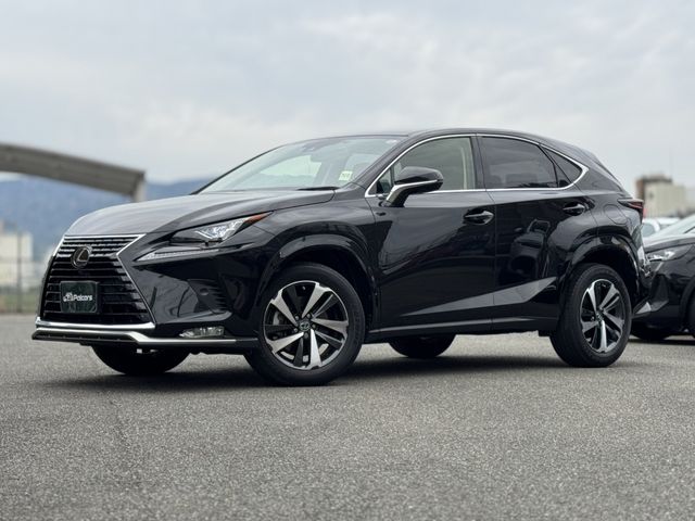 LEXUS NX300