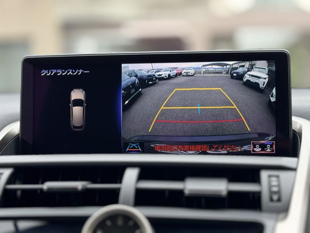 LEXUS NX300