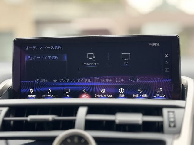 LEXUS NX300