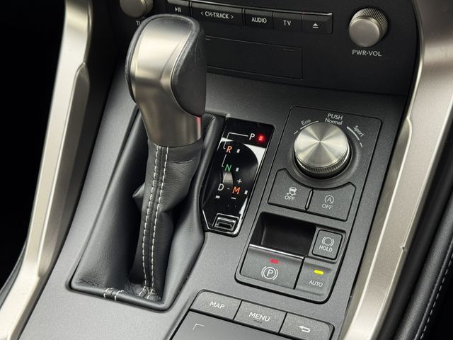 LEXUS NX300