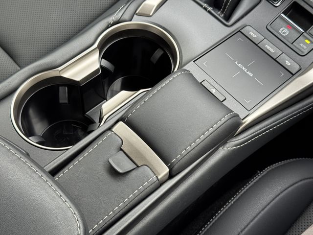 LEXUS NX300