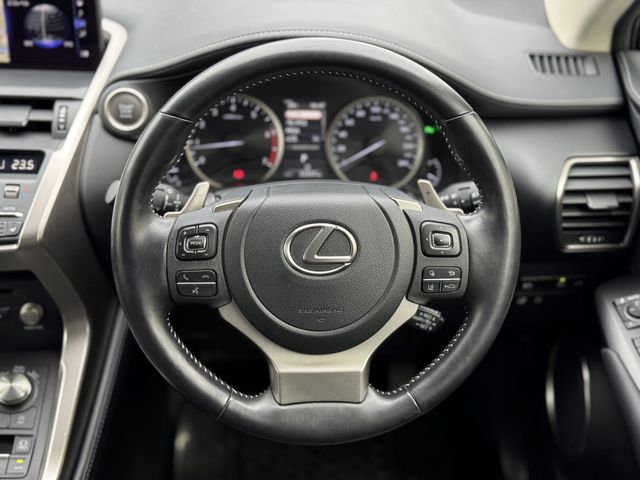 LEXUS NX300