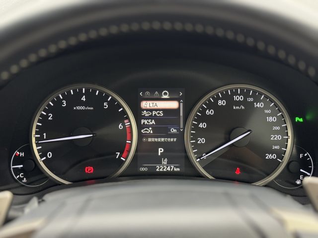 LEXUS NX300