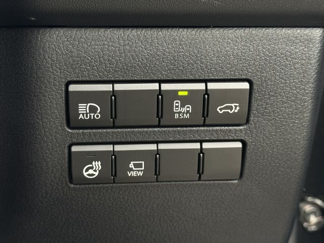 LEXUS NX300