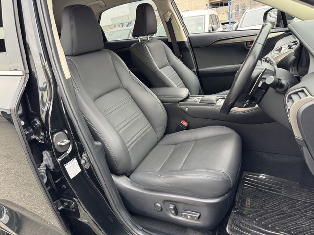 LEXUS NX300