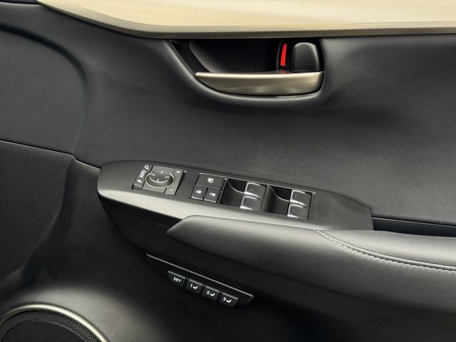 LEXUS NX300