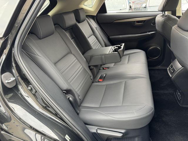 LEXUS NX300