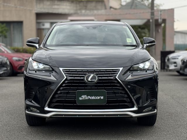 LEXUS NX300