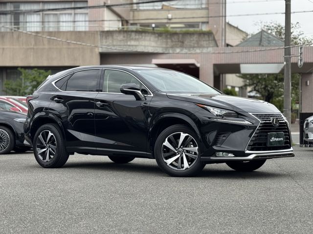 LEXUS NX300
