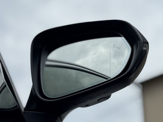LEXUS NX300