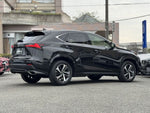 LEXUS NX300