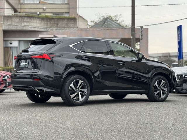 LEXUS NX300