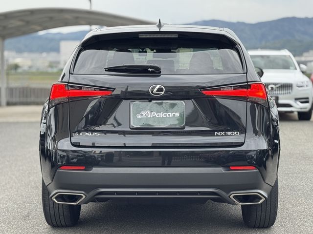 LEXUS NX300