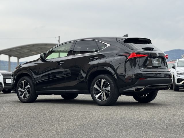 LEXUS NX300