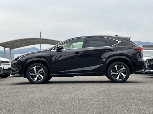 LEXUS NX300