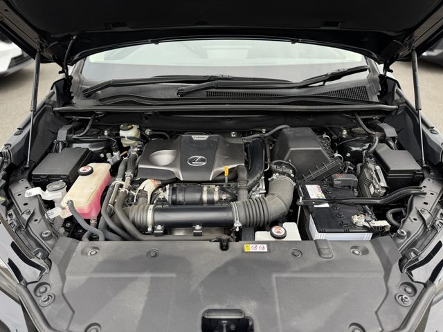 LEXUS NX300