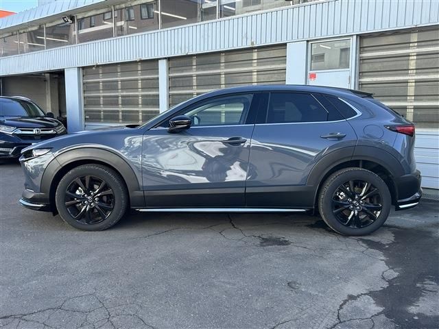 CX-30