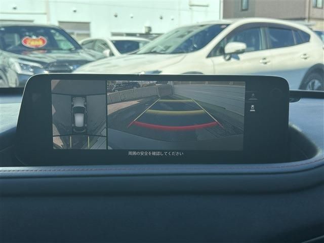 CX-30