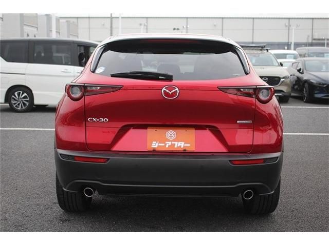 CX-30