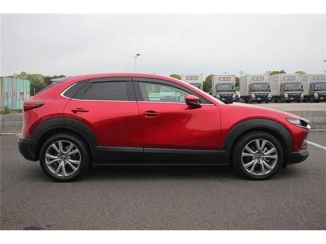 CX-30