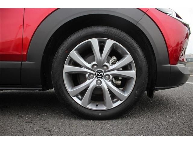 CX-30