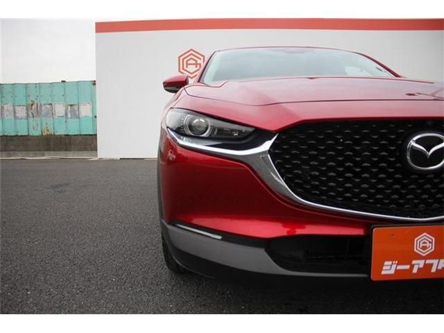 CX-30